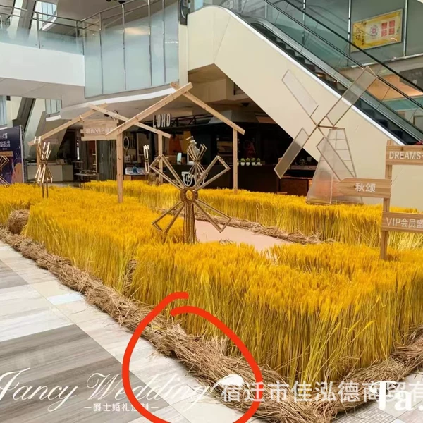 Straw bales are about 60 cm [1 catties package]