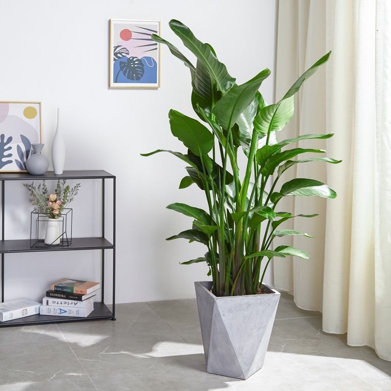 프리즘 시멘트 분지 함유