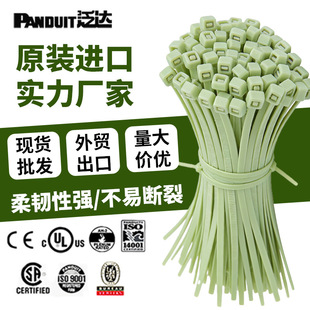 PANDUIT�������_ԭ�b�M�ھ۱�ϩ�����|�ͻ��WPP�������Q