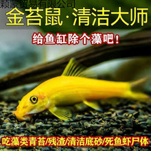 ������̦��ˮ�~�坍�~��������~�S�����~�Ꭷ�^�p�~�ԼS��