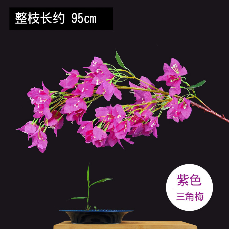 암호화된 부겐빌레아-보라색