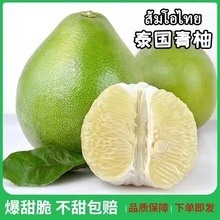 泰国青柚新鲜水果柚子香甜青皮白糖蜜柚大果脆甜当季时令孕妇包邮