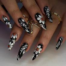 X-0117�羳�W�������������ΚW���L�f�}���������`��������24Ƭ