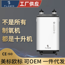 弗朗明 制氧机10L 十升吸氧器带雾化拾升多人吸氧器 氧气机制氧机