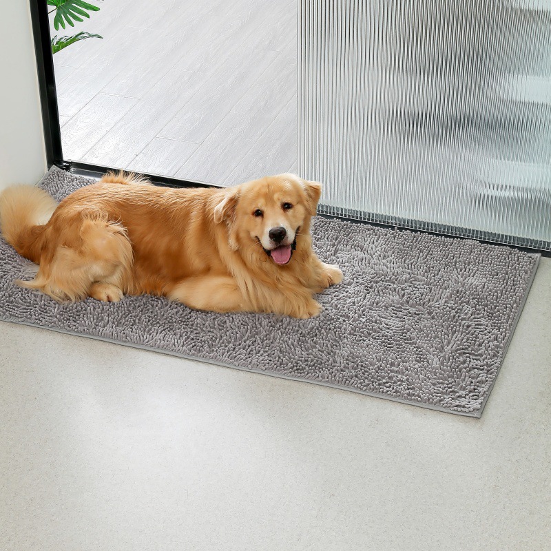 Cross-Border Chenille Floor Mats, Living Room, Bedroom, Bay Window Carpets, Kitchen Door Mats, Bathroom Water-Absorbent Non-Slip Floor Mats Factory Wholesale