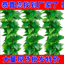 ����G�}�~�ٻ��ٗl��ɽ�������bGֲ���~�����������G�~�����l