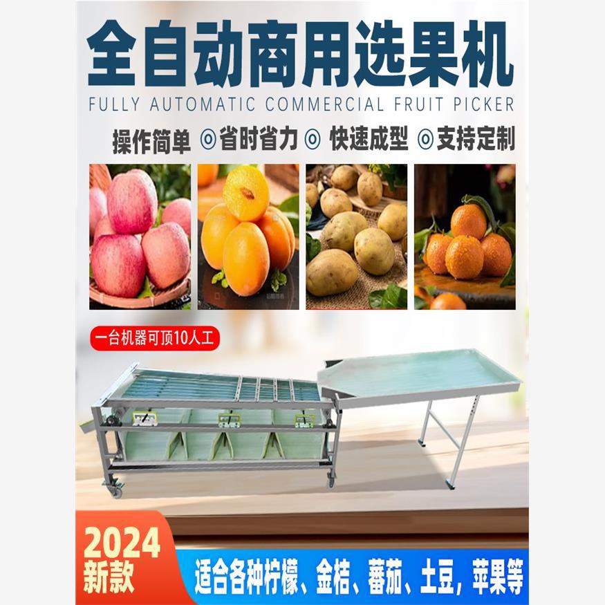 橙子土豆选果全自动式核桃轨道圣女果机槟郎商用分选机分选机小枣