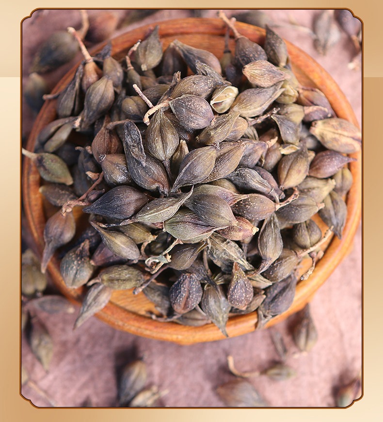 Forsythia Fruit Lian Qiao Dried Chinese Herb 500g Natural Sulphur-Free New Harvest preparation