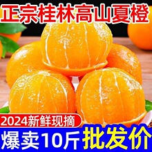 �V�����r�ĳȬFժ���Ӵ�����󮔼�ˮ���ք�Ě��ֱ�l�������l�r