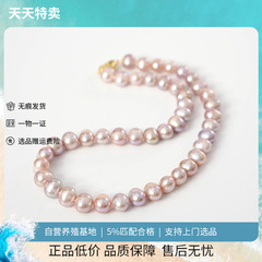 2025紫色珍珠项链无核鹅蛋短横珍珠项链锁骨链送妈妈婆婆长辈礼物