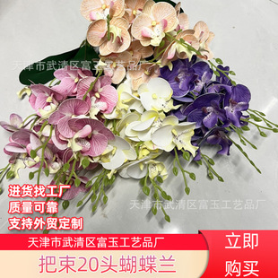 ���滨�����m����20�^�߼��п͏d�b[�����컨�����c�û�