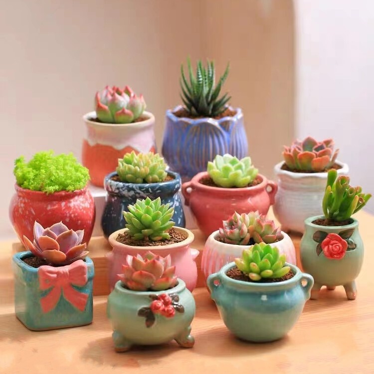 Fleshy Flower Pot Ceramic Fleshy Plant Coarse Pottery Vintage Plain Burned Purple Sand Household Creative Size Simple Special Sale Clearance