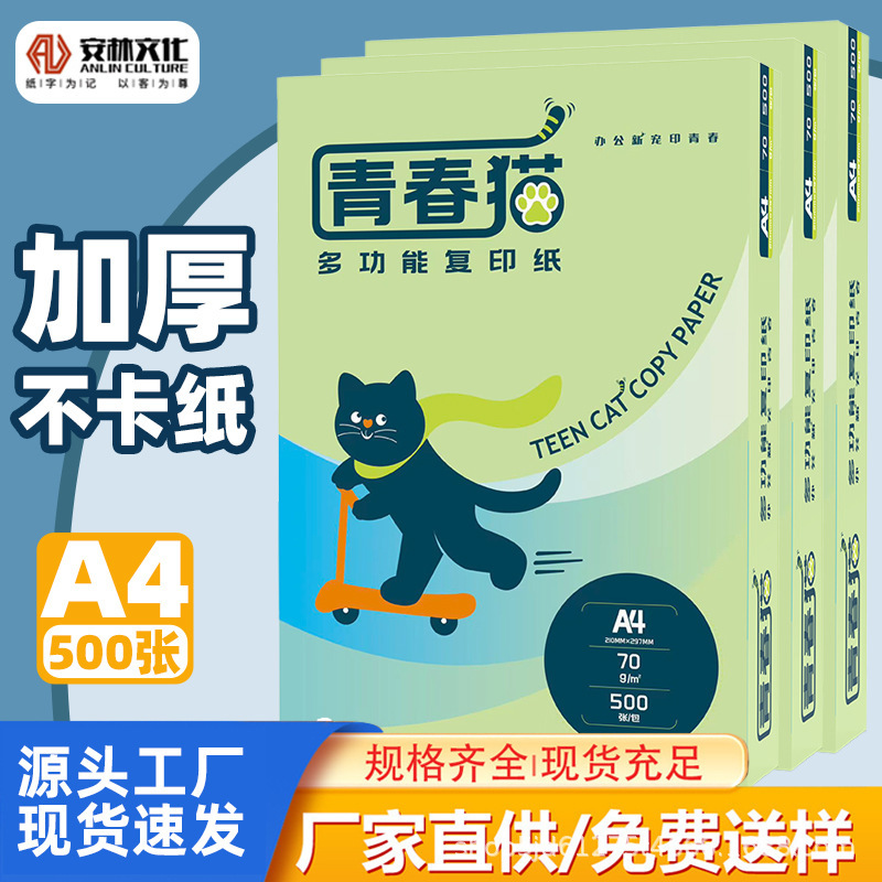 Youth Cat A4 Copy Paper A4 Printing Paper White Paper Thickened Whole Box Student Double-Sided Draft Paper 70g Office Use