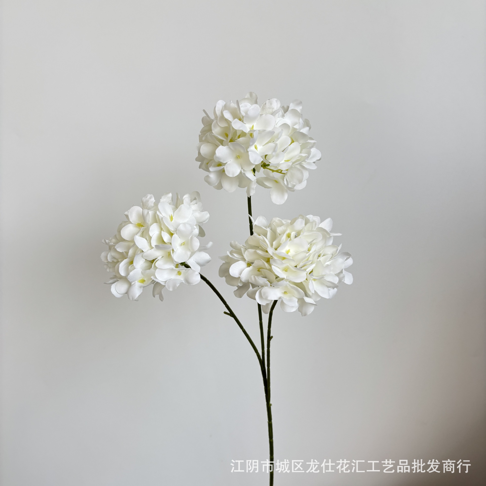 하얀색