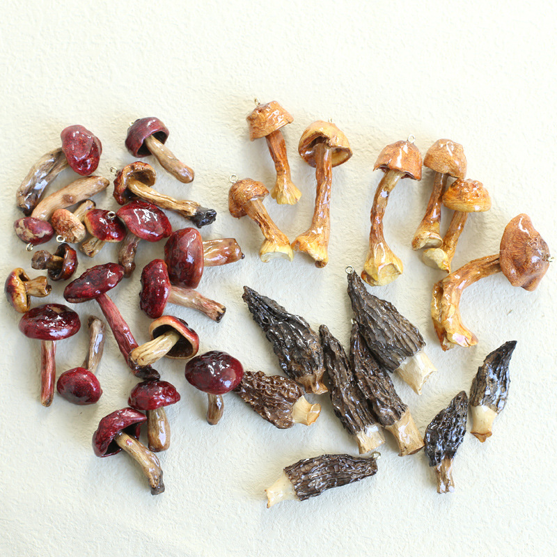 云南植物标本蘑菇小红菇羊肚菌姬松茸滴胶冰箱贴耳环吊坠手链配件