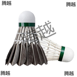 ���Sֱ�N��ë��12ֻ�b6���b�ʹ���ë���ɫ��ɫ�W��Ӗ����ë��