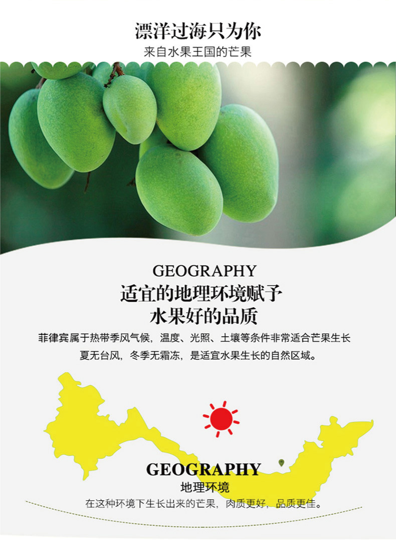 790详情图_04.jpg