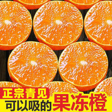 青见果冻橙四川手剥应季水果孕妇柑橘橙子桔子整箱速卖通独立站