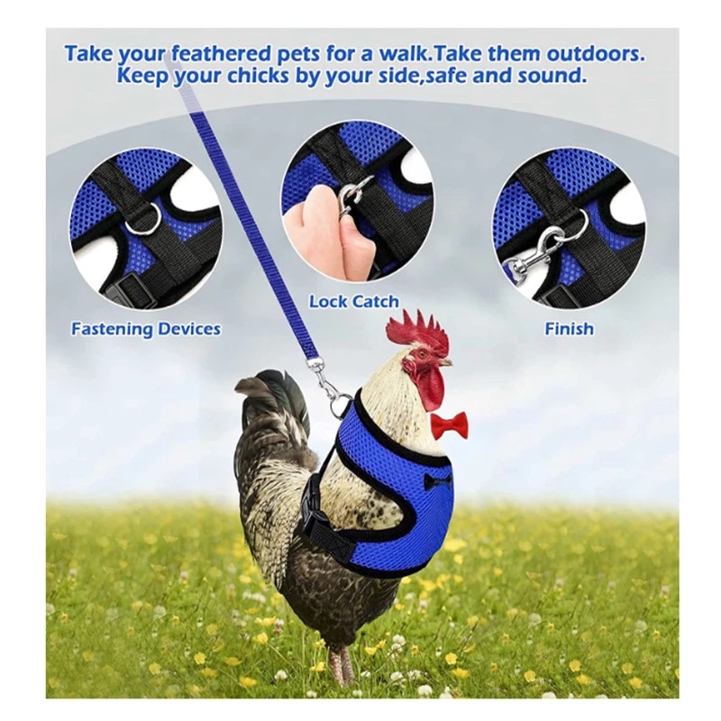 Dropshipping-Fashion-Pet-Mesh-