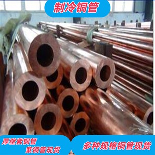 ���~�P�� 19*1���~�� ���{���s�C�B�ӹ�Ó֬�o�����~�ܿ������~��