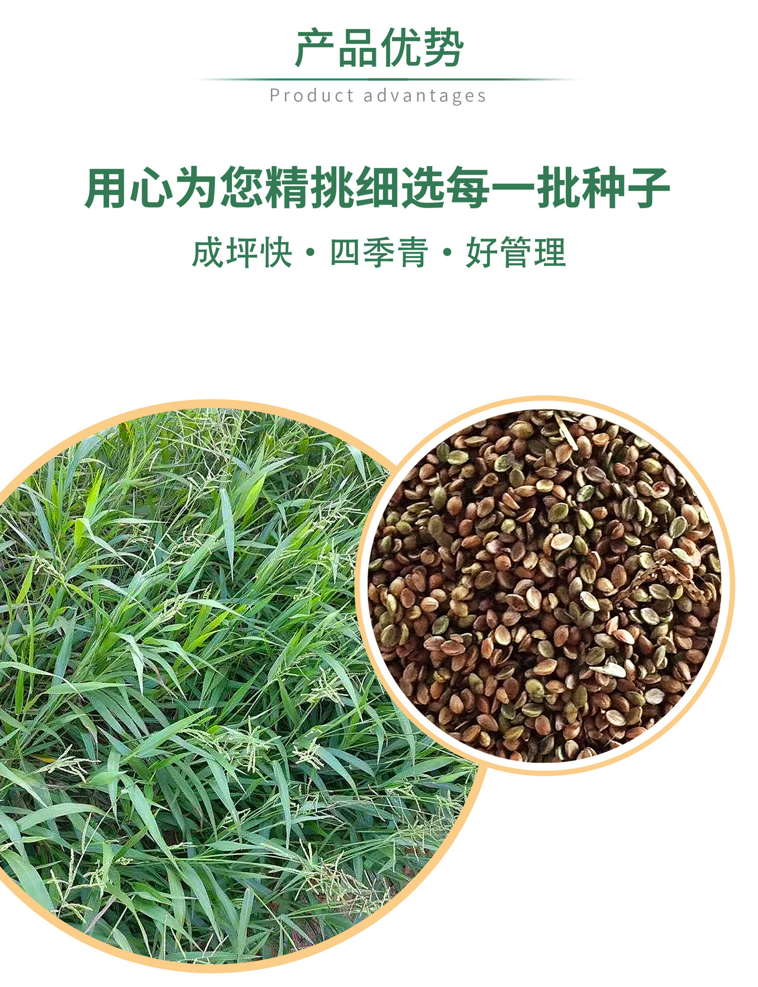 O1CN01owMeI81quhEZ8Bg8X_!!2211