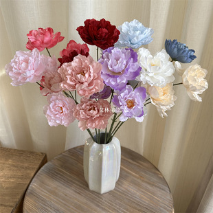 3�^Сܽ�ػ� ���滨��c��Y�üٻ��bҾӔ[�Ż�Y�����șĵ��