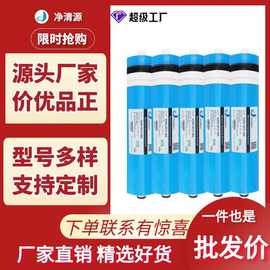 家用净水器滤芯厂家反渗透膜3012系列200/300/400g纯水器通用配件