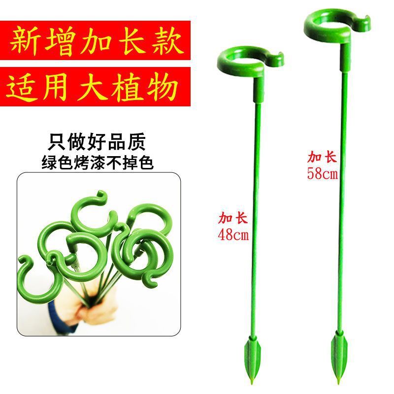 多肉植物胡蝶蘭の花花植物転倒防止趙志孫バラスタンドスタンドオーキッドスタンドサポートロッド|undefined