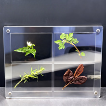 三层亚克力相框植物标本收纳刺绣装饰框强磁吸冰箱贴桌面台面装饰