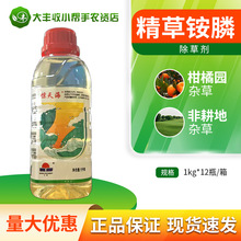 @캣 @좰} و@Ǹsݳ݄rșl]