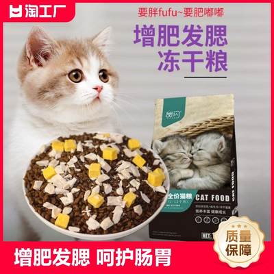 Cat Food 20kg Full Price Freeze-dried Fattening Adult Cat and Kitten Home Cat 1 to 3 Months Cat Food 4 to 12 Months Cat Staple Food