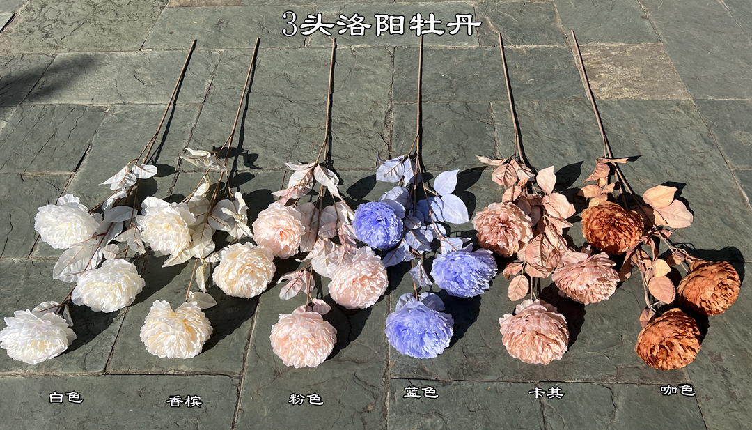 微信图片_20211207125310.jpg