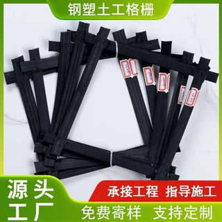 山东泰安双向土工格栅生产厂家 路基加固 挡土墙GZS钢塑土工格栅