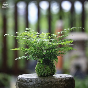 ˮ��ֲ�Ｊķާ�҃Ȼ��ܾGֲ���������辰С���ާW�y�ݰlؔ��