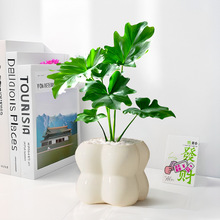 �����ˮ��Gֲ���Ա��W�L�҃�������ؔ���B�ļ��m�ϑ��˵�С�辰