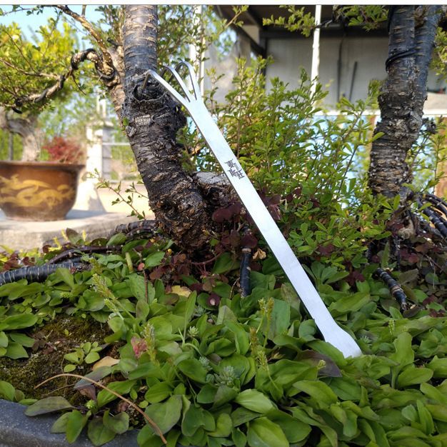 跨境专供不锈钢园艺耙子菖蒲镊盆景换盆刀多肉种植起土器压土耙