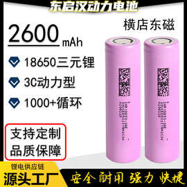 东磁2600mah毫安电池dmegc动力3c5c平头电芯电池组用18650锂电池