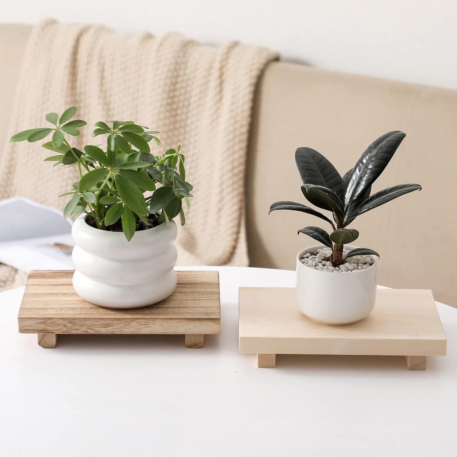 619iUlutNmL._AC_SL1500_