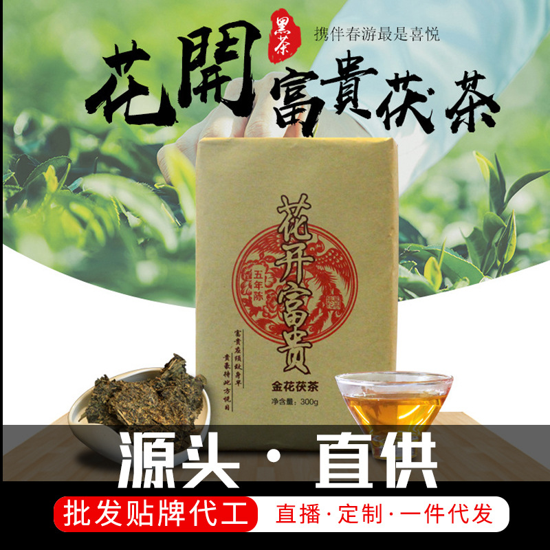 湖南安化黑茶机压金花茯茶300g会展随手礼茶叶批发