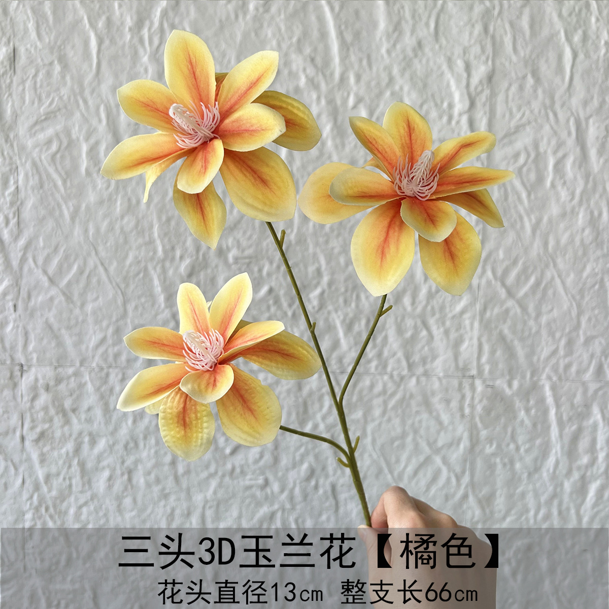 머리가 3개 달린 3D 목련-오렌지