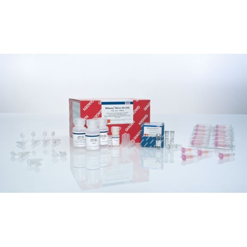 凯杰Qiagen74004痕量样品总RNA提取试剂盒RNeasy Micro Kit 50T阿里巴巴