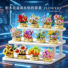 �eľ���YƷ����������Էeľ����[��Ů�����նY��W�����ֶY��Ʒ