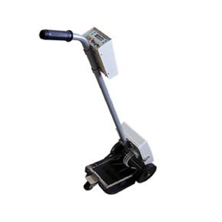 手推式燃气管道泄漏检测仪(中西器材)型号:M383920库号：M383920