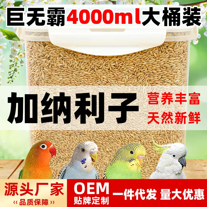 加纳利子鸟食鸟粮新货大颗粒玄凤虎皮牡丹美毛中小型鹦鹉白尖饲料