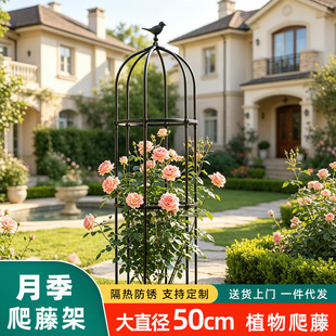 �¼��������ټ��Nޱ�̨�������ӻ���ֲ���ټܻ��@�����@ˇ��֧��