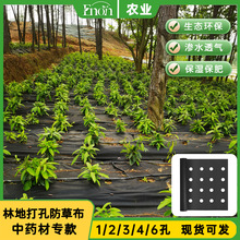 现货直发6孔药材粉防己黄精枸杞叶白芷淫羊藿山地林间带孔防草布
