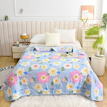 夏凉被批发夏季可机洗空调被夏被薄款礼品被子被芯 支持一件代发