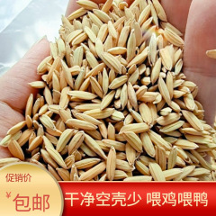 稲は鶏に100斤10稲のアワを与えて殻を持って鶏のアヒルのガチョウのハトのペットの飼料の五穀の雑穀に与えます。