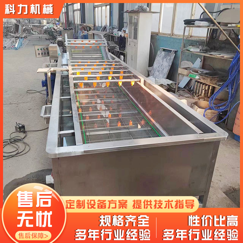 厂家生产 气泡清洗机 大型带叶青菜清洗机 果蔬油菜气泡清洗机