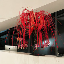 ����b��T�ڹ�˾ǰ̨�����l2026�´���ˇ�tɫ��l�������÷Շ���